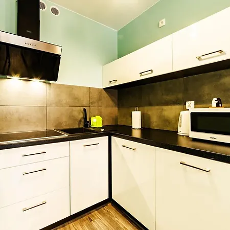 Wonder - Z Balkonami Lesny Dom Ii - W Cichej I Zielonej Czesci Karpacza *